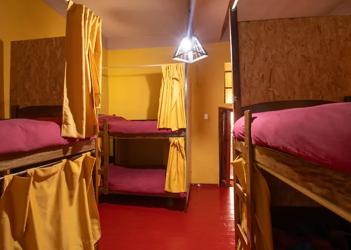 Auberge de jeunesse Vip House *